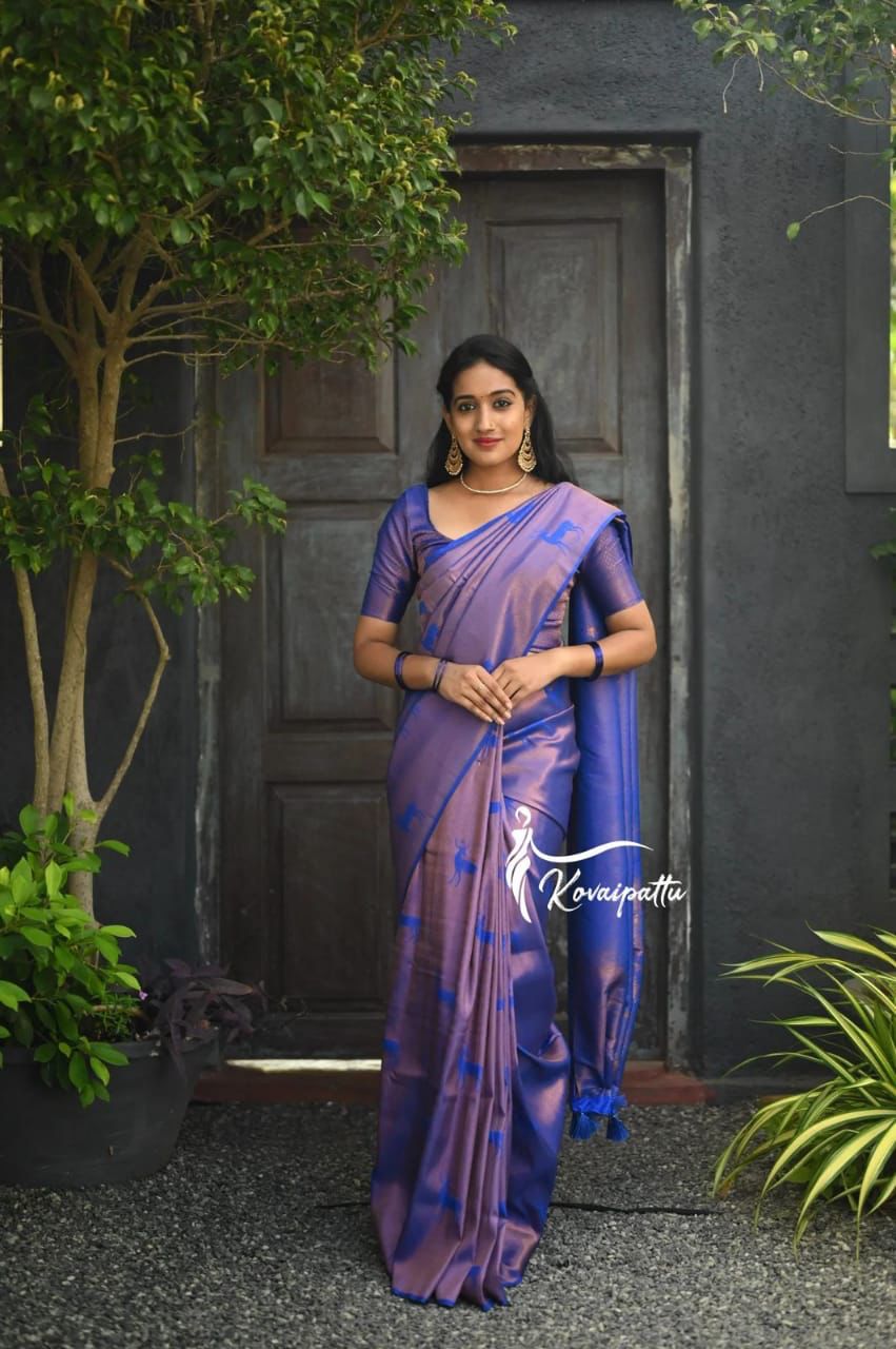 kovai pattu silk saree